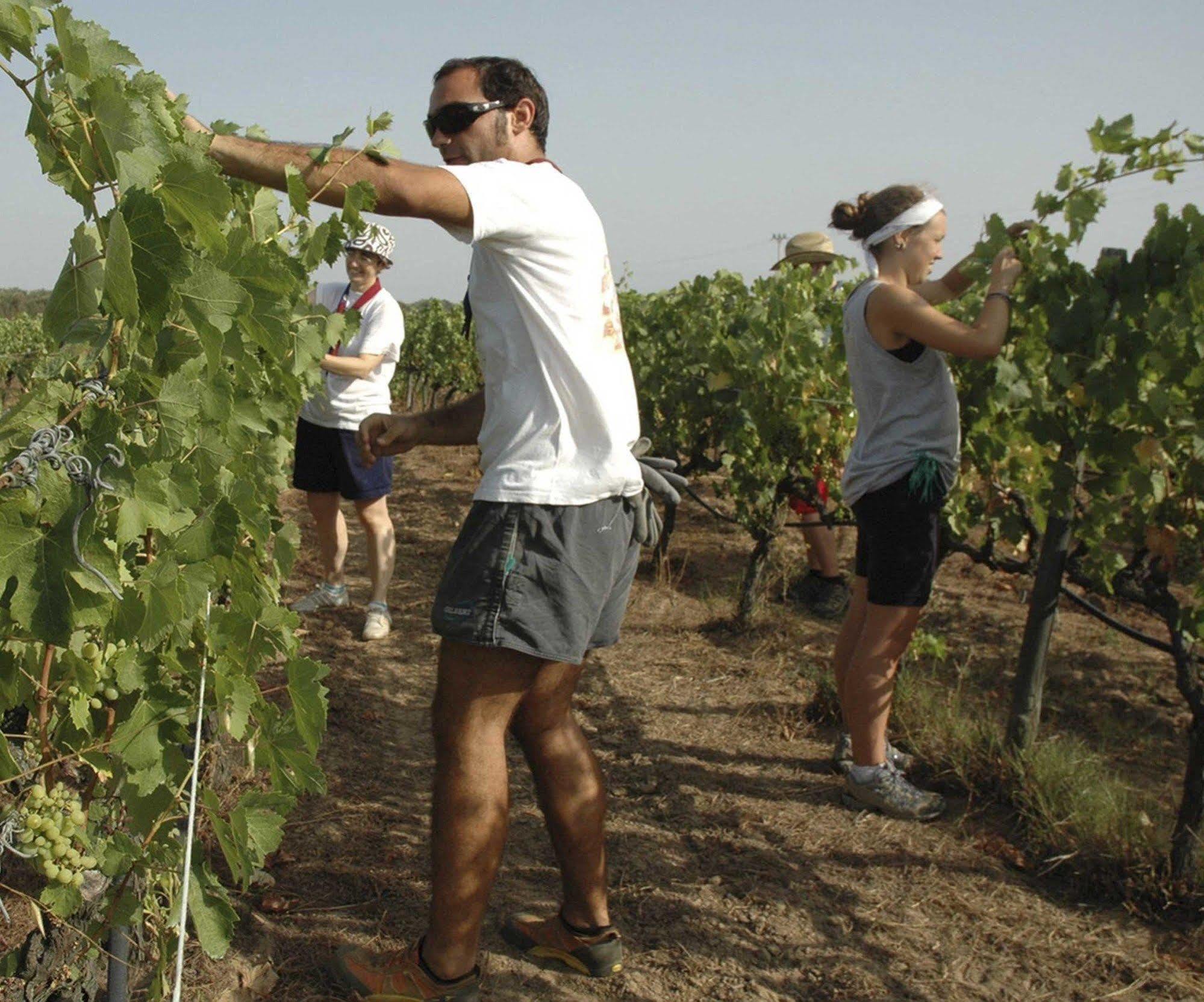 Agriturismo Borgo Dell'Aschetto Marina di Cerveteri 外观 照片